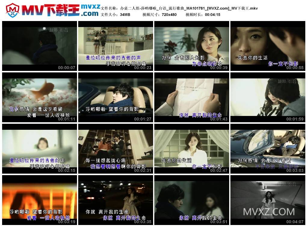 办桌二人组-莎哟哪啦_台语_流行歌曲_MA101781